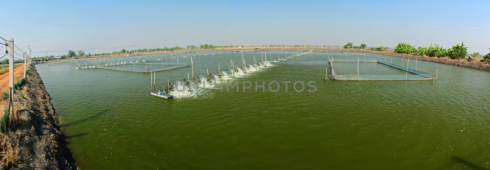 panoramic view of Shrimp Farm near bangkok, Thailand. by think4photop