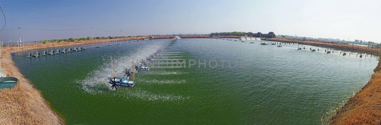 panoramic view of Shrimp Farm near bangkok, Thailand.