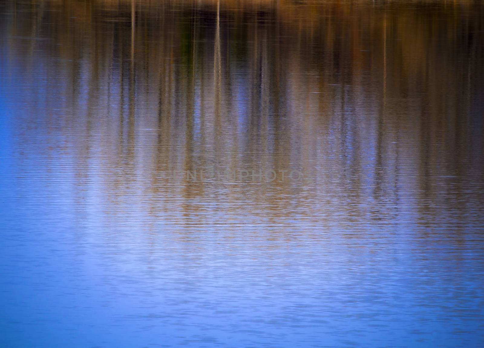 abstract autumn background water mirroring by Ahojdoma