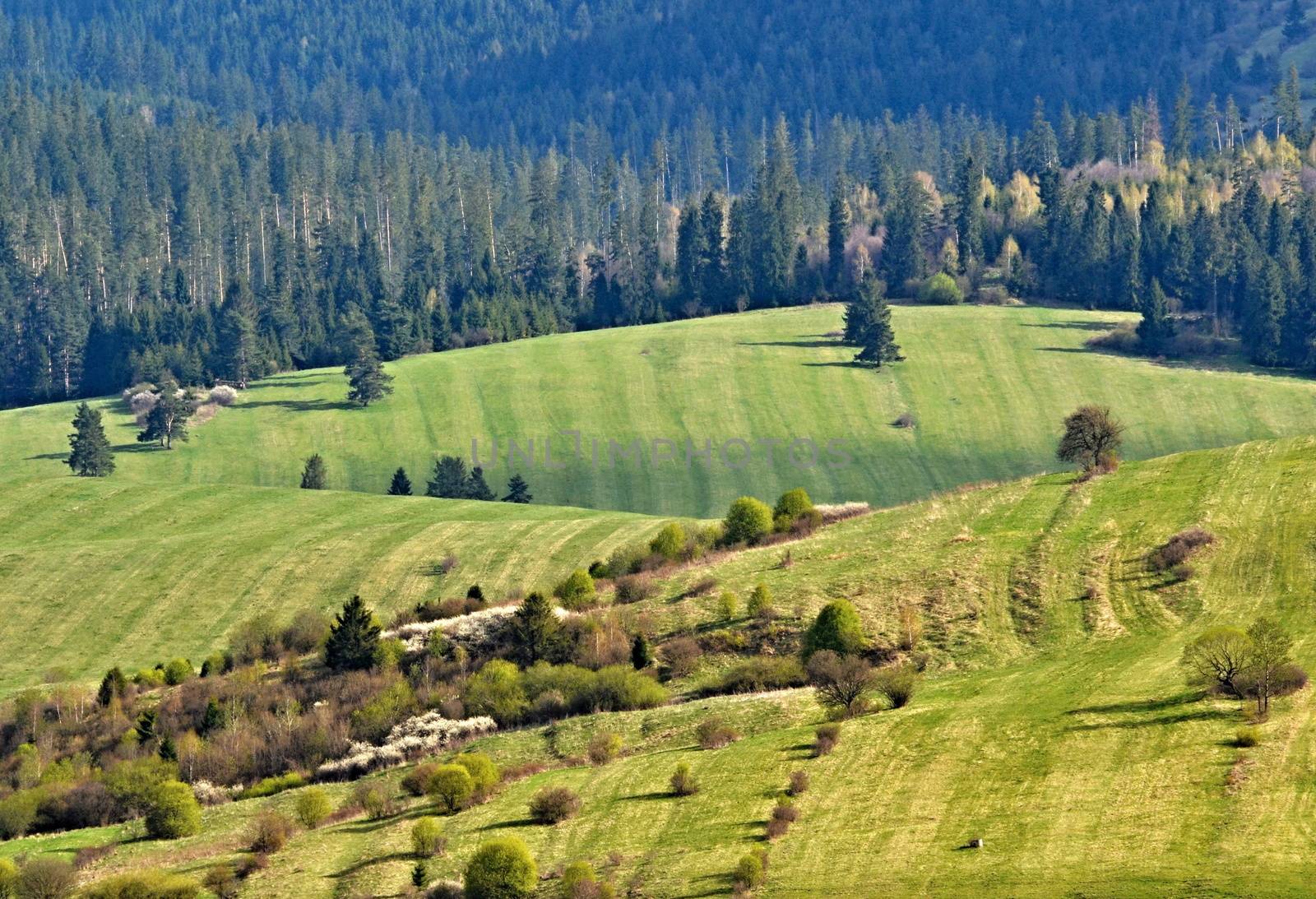 Spring landscape mountains by Ahojdoma