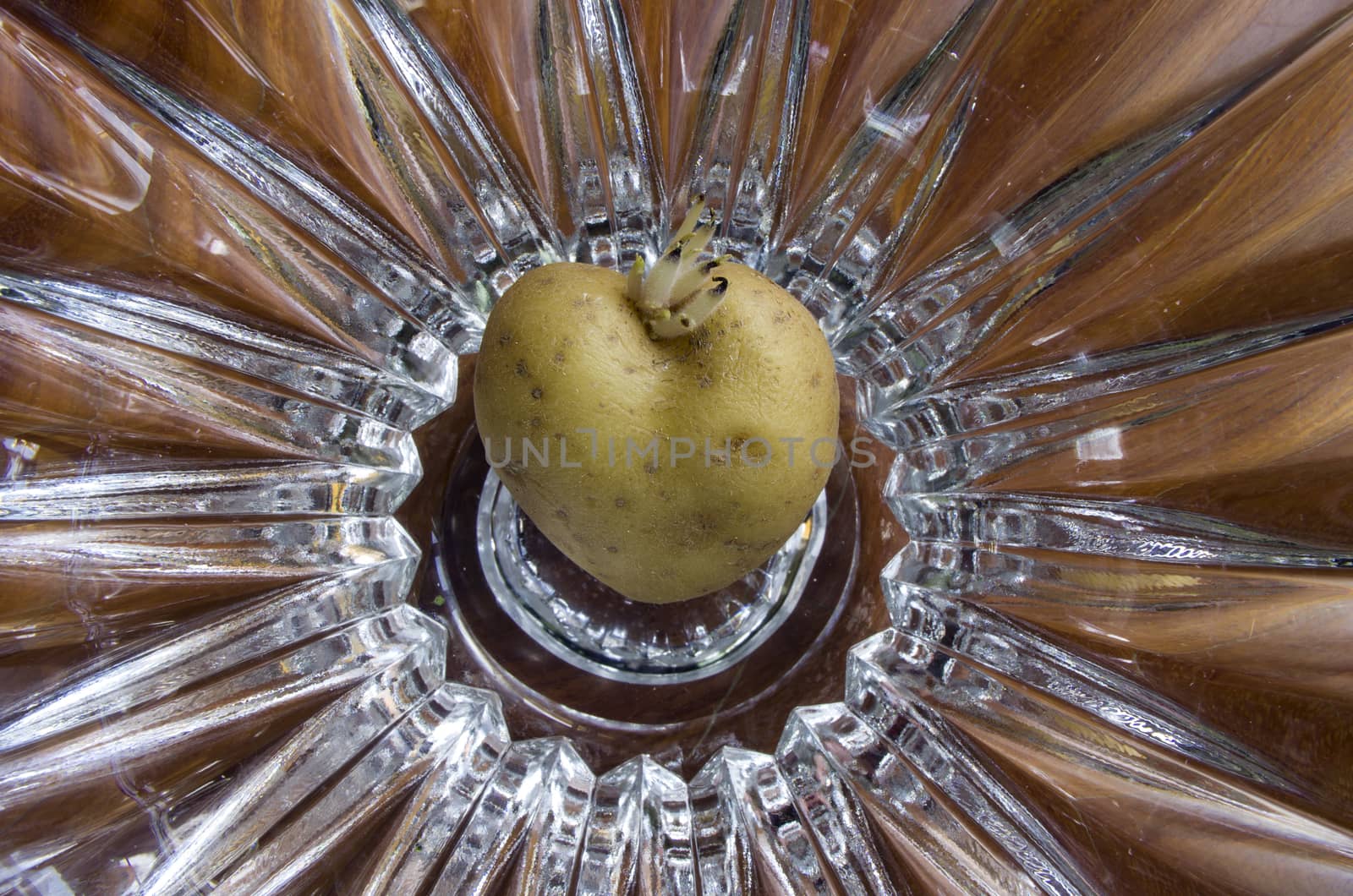 The potato tuber heart-shaped, with a bud, on abstract background by propaga