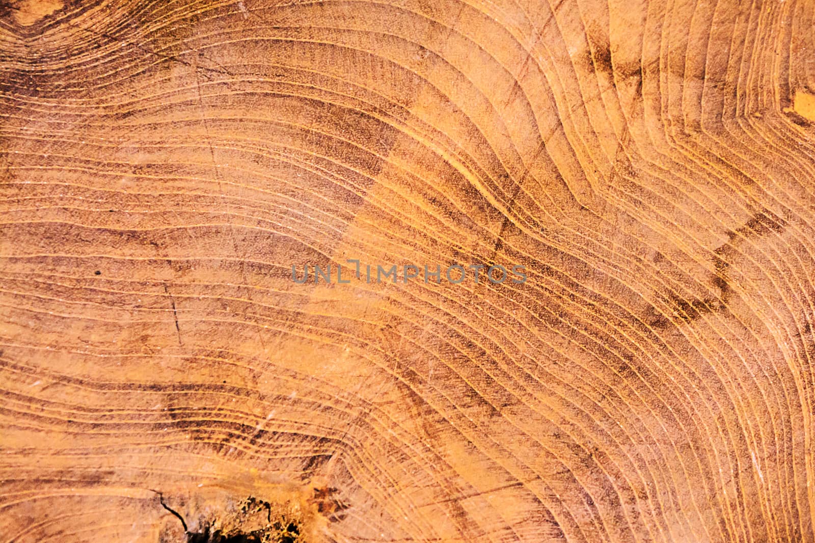 Close up of wooden texture. Wooden background.