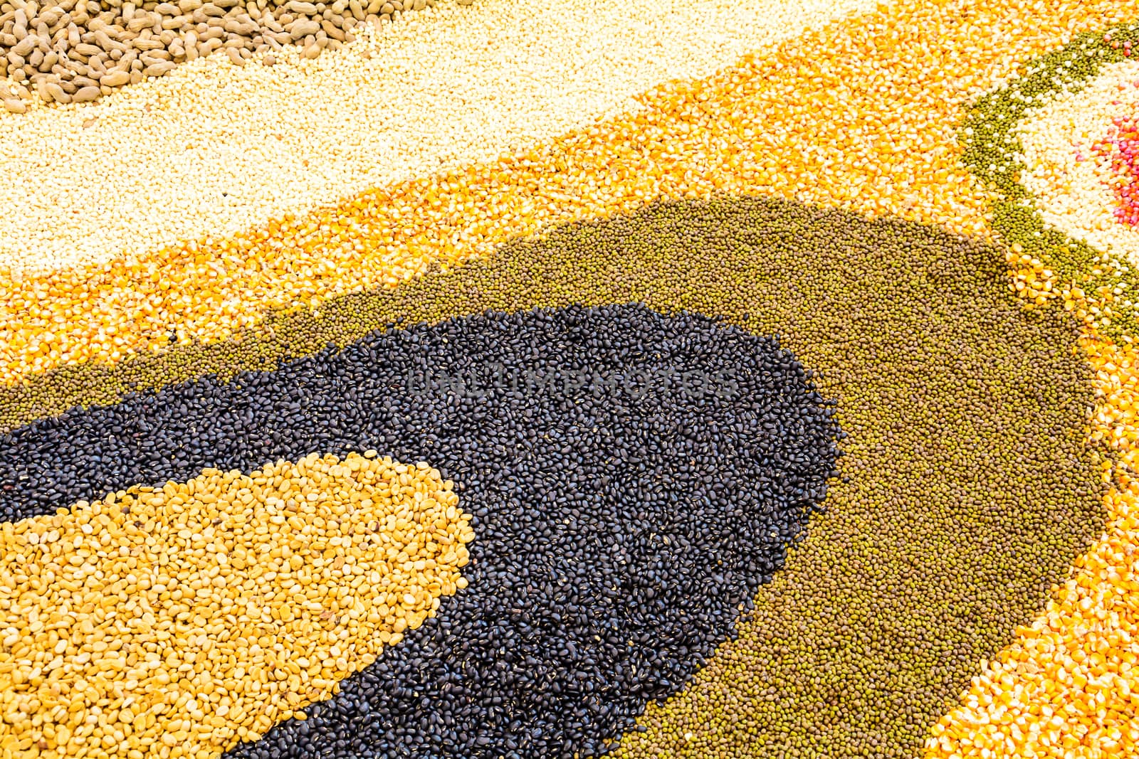 Seeds spread the paste evenly flat for a background