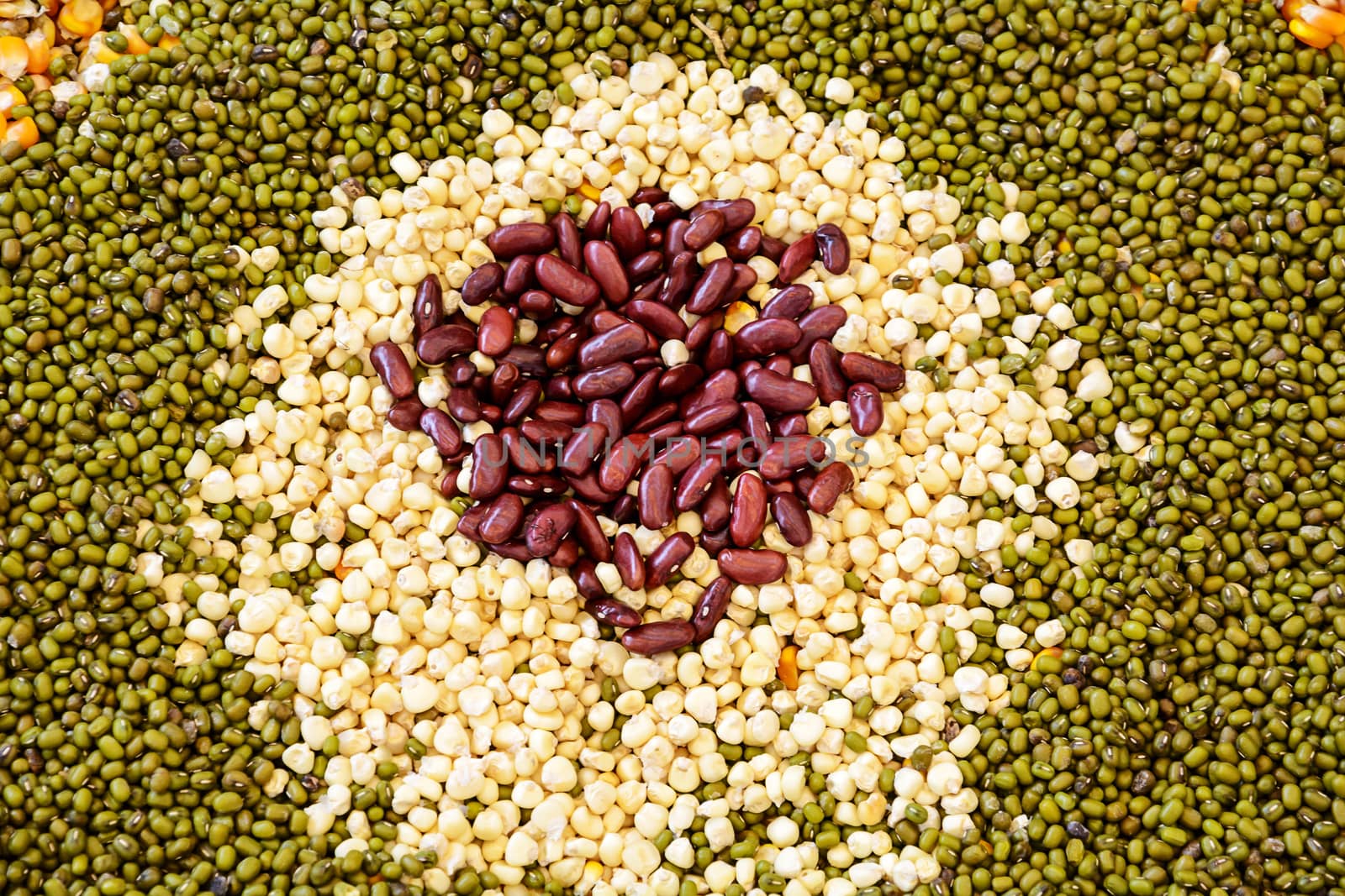 Seeds Spread a flat sheet by NuwatPhoto