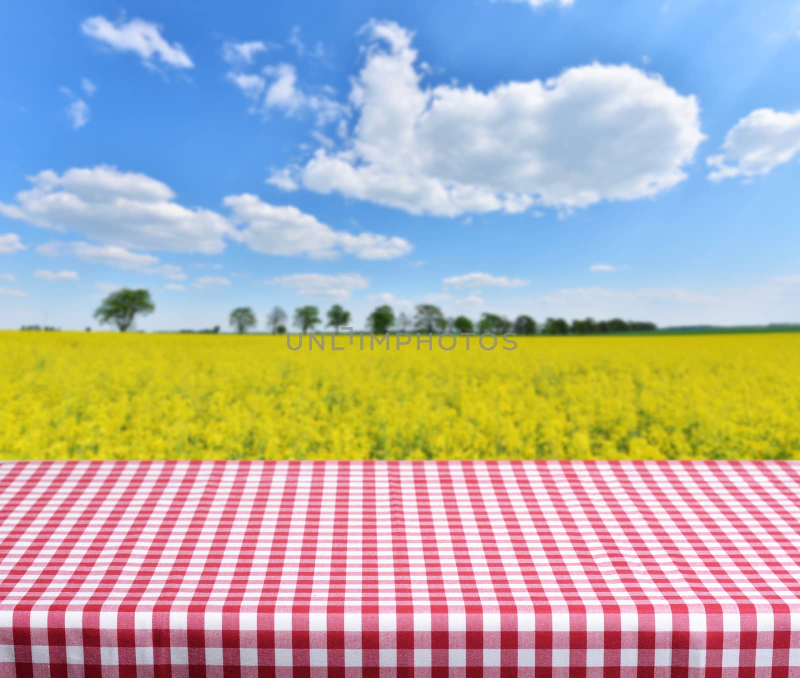 empty table and spring flowers field in background