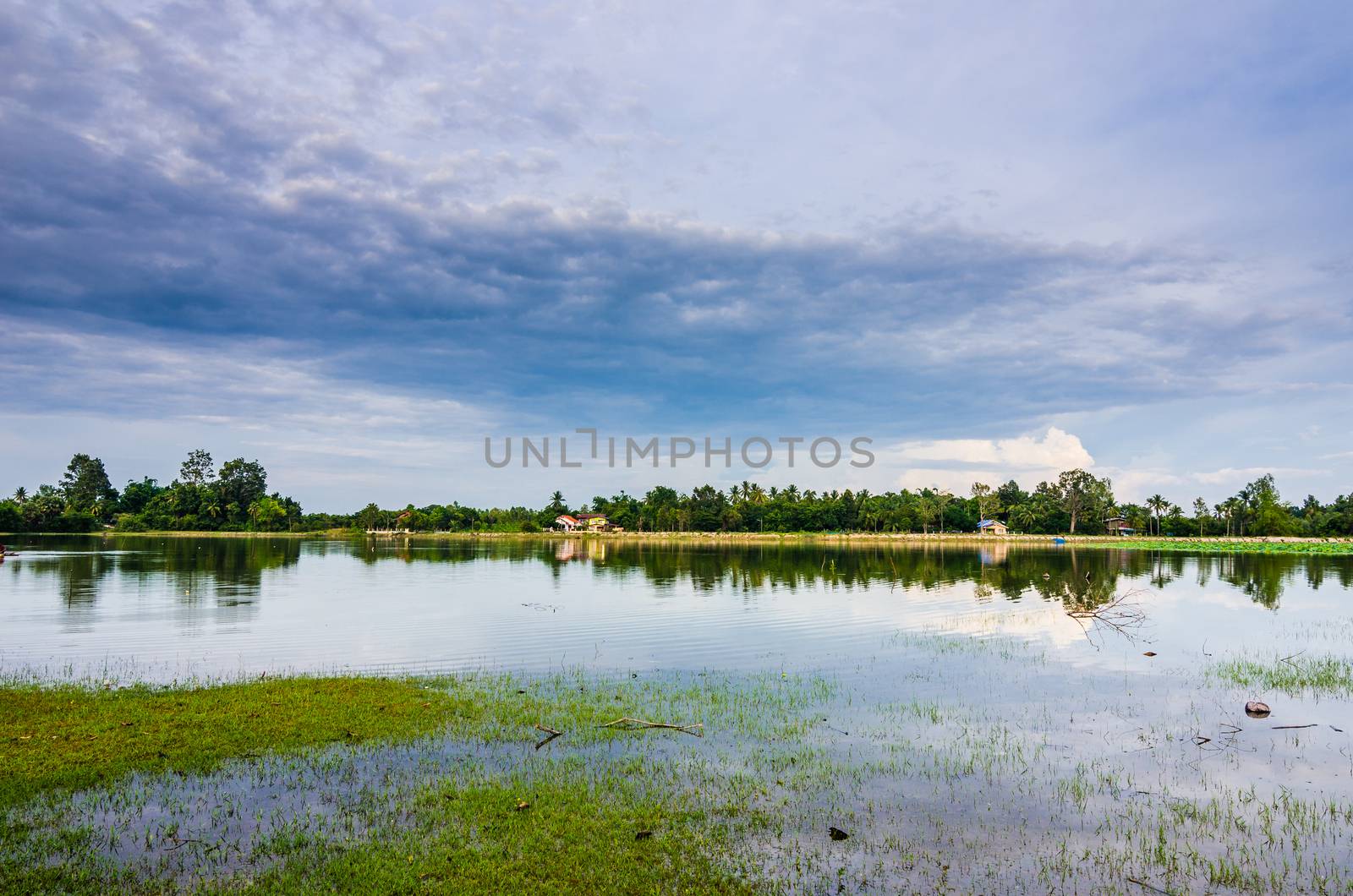 Pond in spring by sweetcrisis