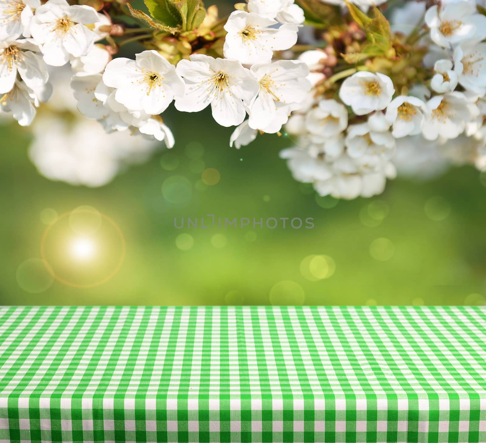 Empty checkered table with spring flowers in background