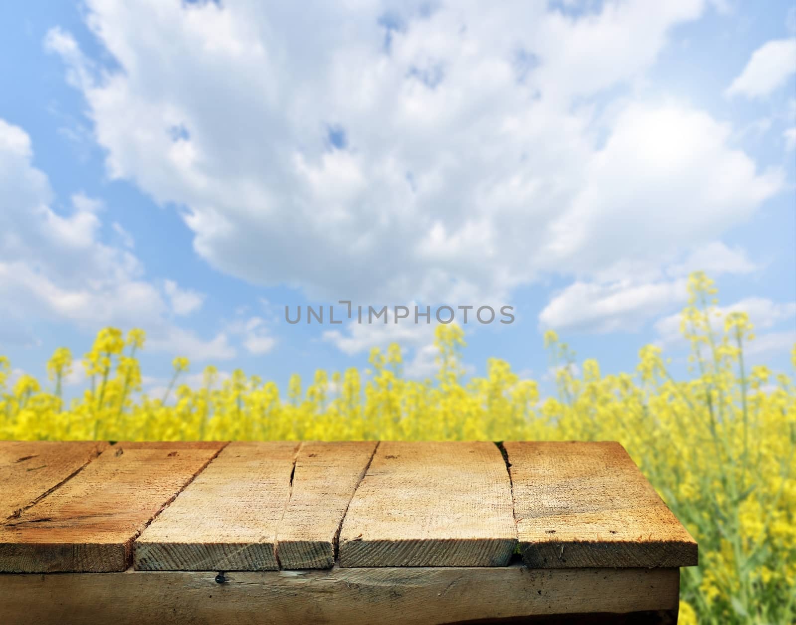 Empty wooden deck table with spring flowers in background