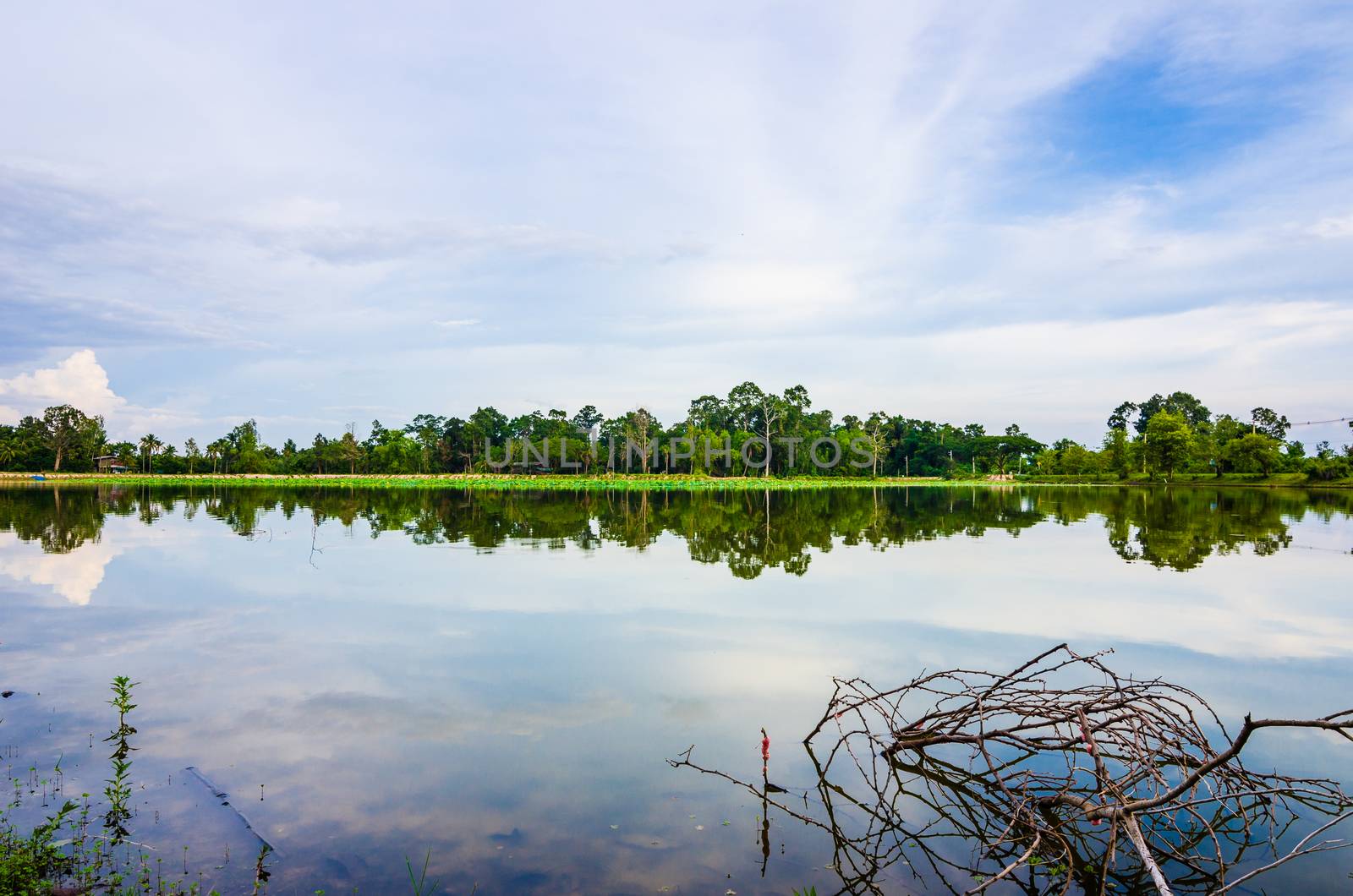 Pond and clouds in spring nature landscape in Thailand