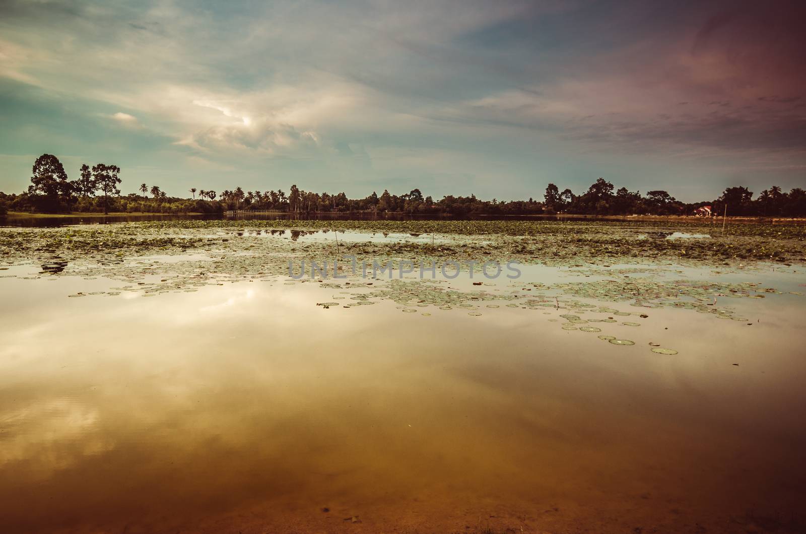 Pond and clouds in spring nature landscape in Thailand