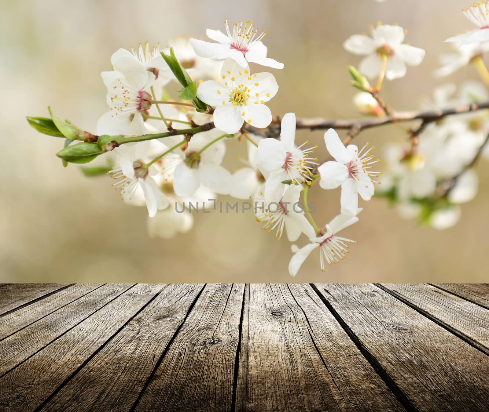 Empty wooden deck table with spring background. Ready for product display montage.