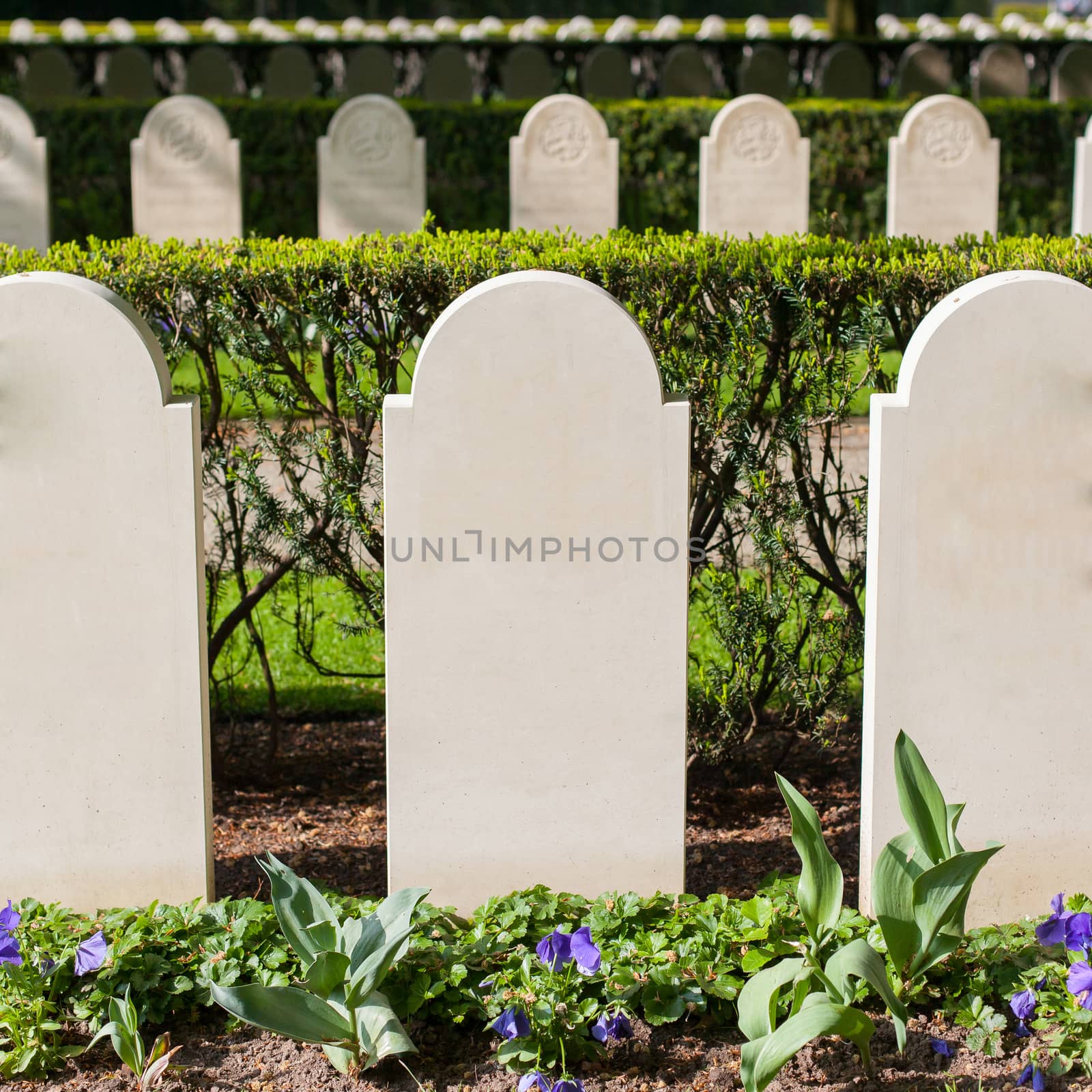 Rows of tombstones by michaklootwijk