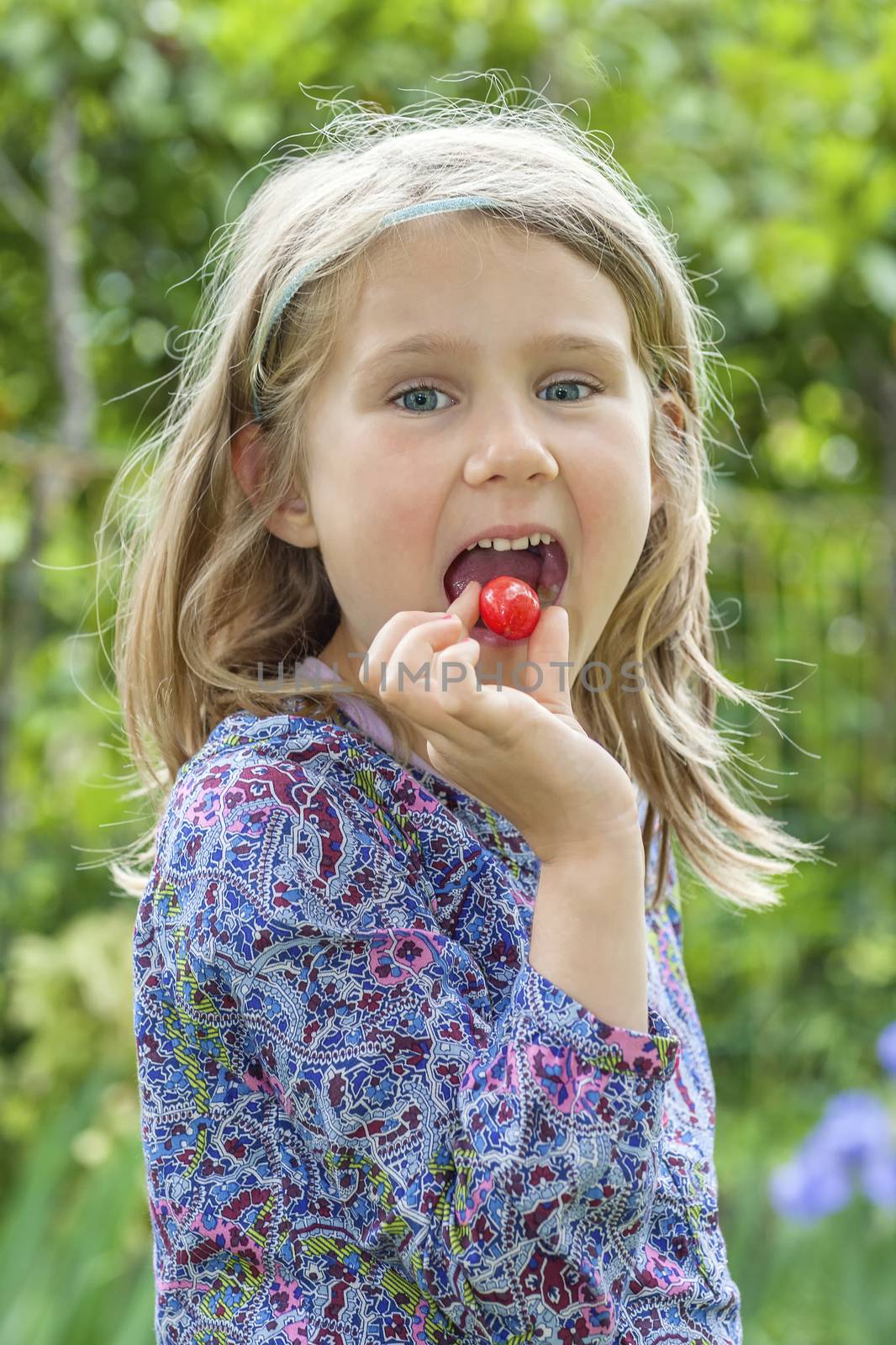 Little girl with cherry in the mouth 