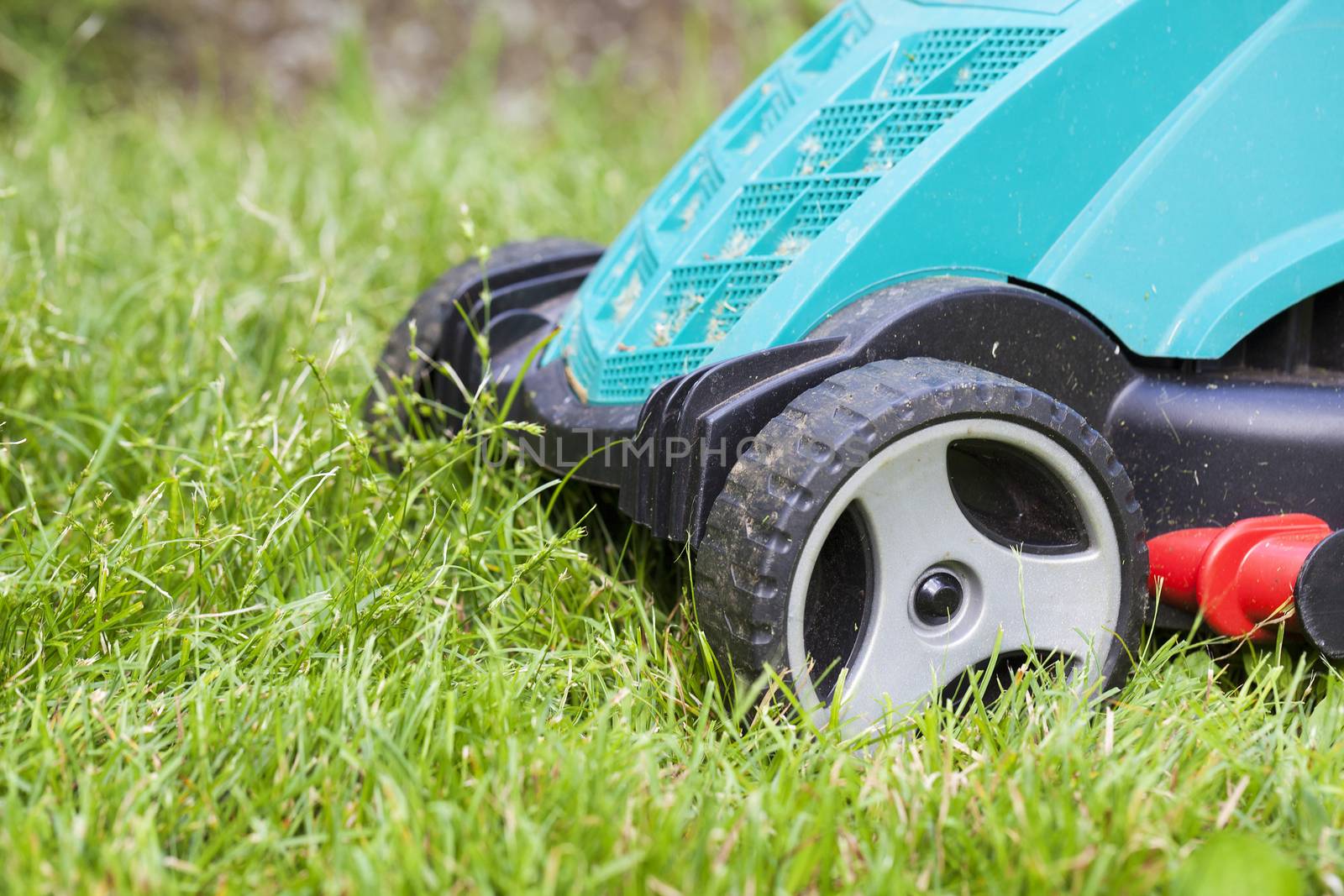 mower in the garden