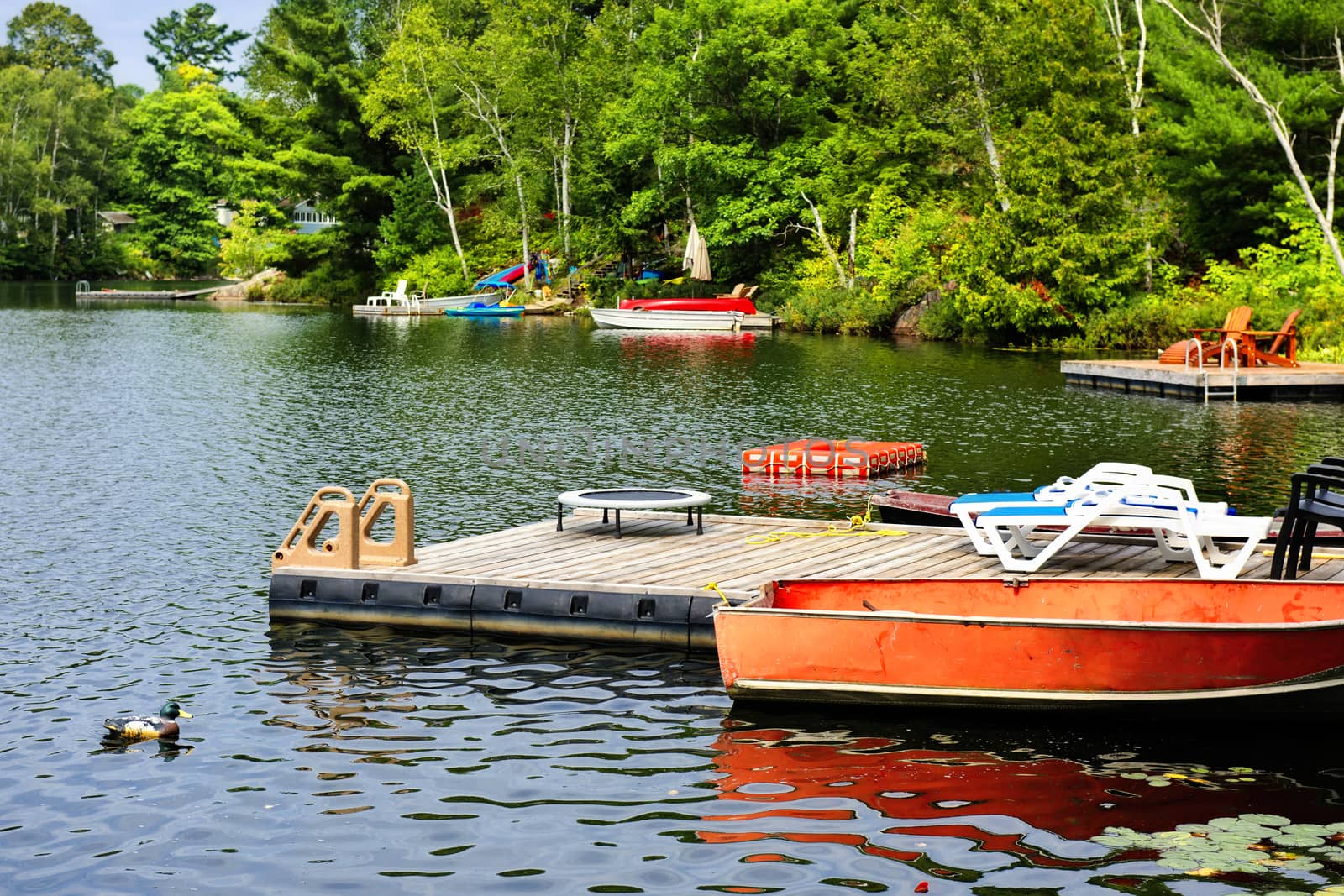 Cottage lake with diving platform and docks by elenathewise
