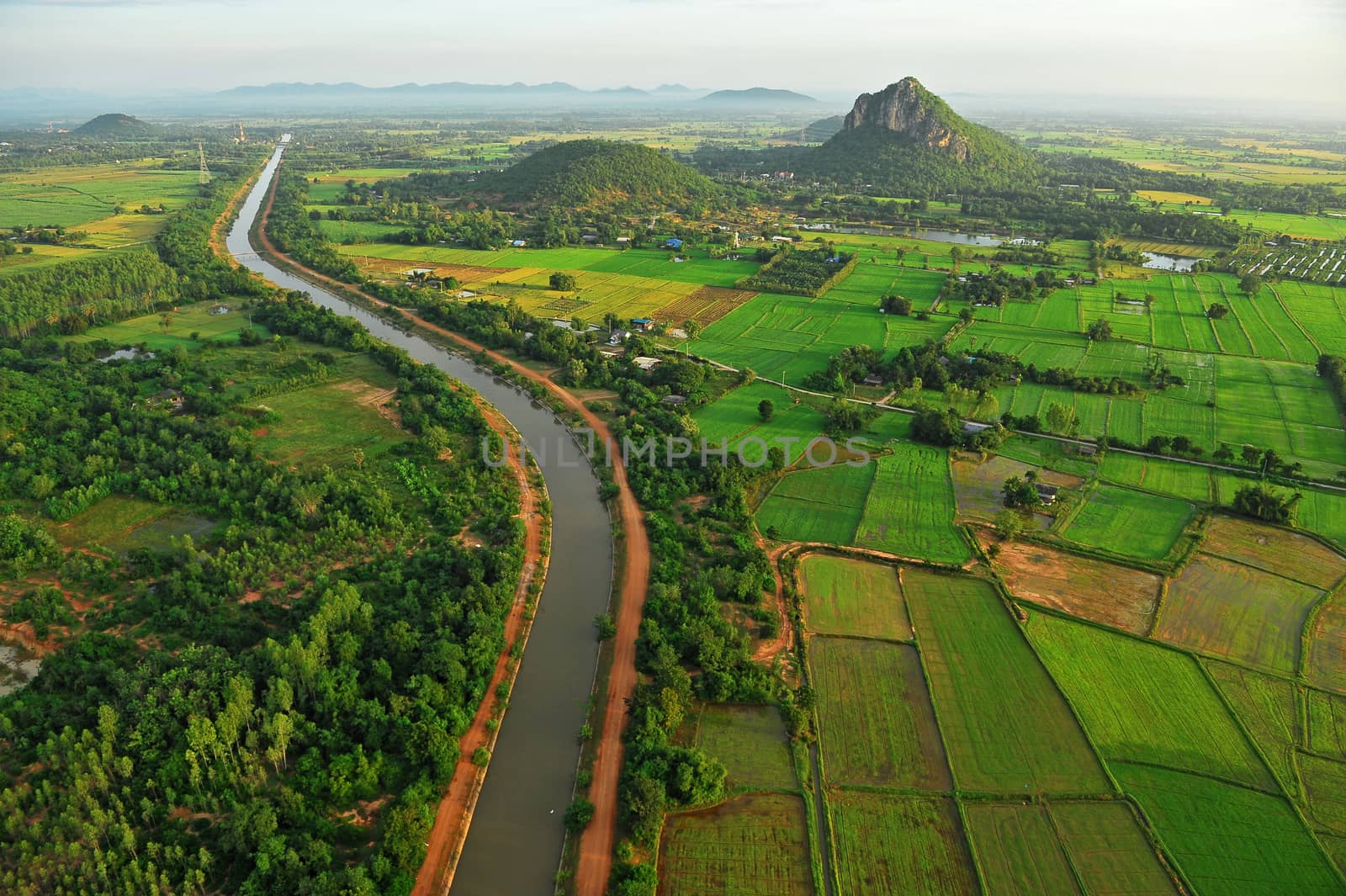 Bird eye view of rice field in Thailand by think4photop