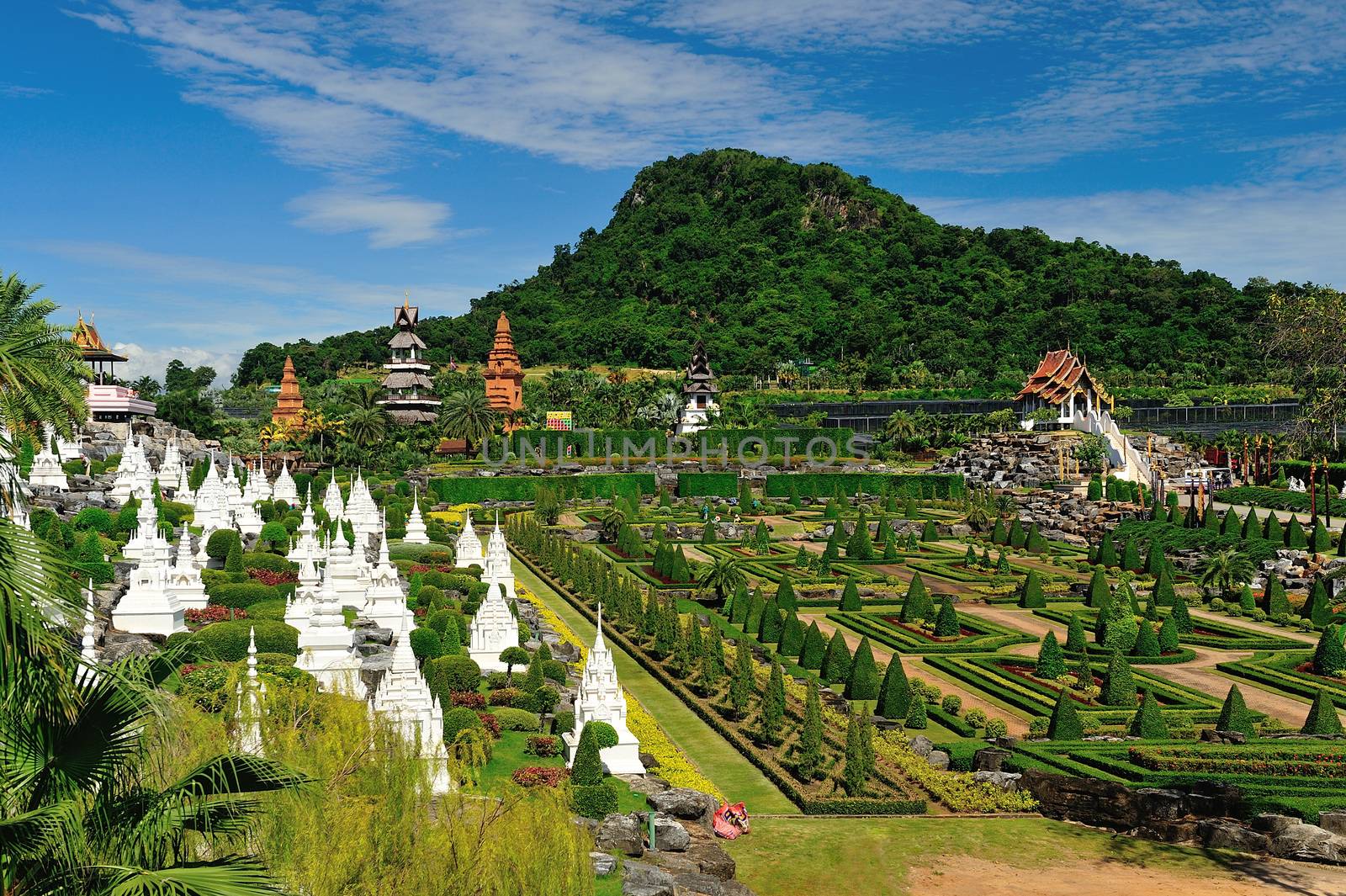 Nong Nooch Garden in Pattaya, Thailand by think4photop