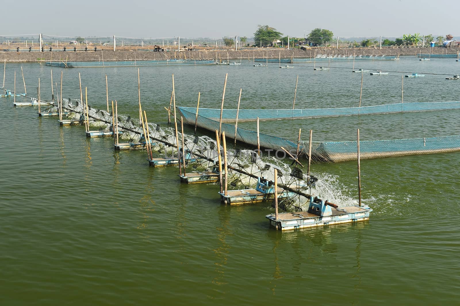 Shrimp Farm near bangkok, Thailand. by think4photop