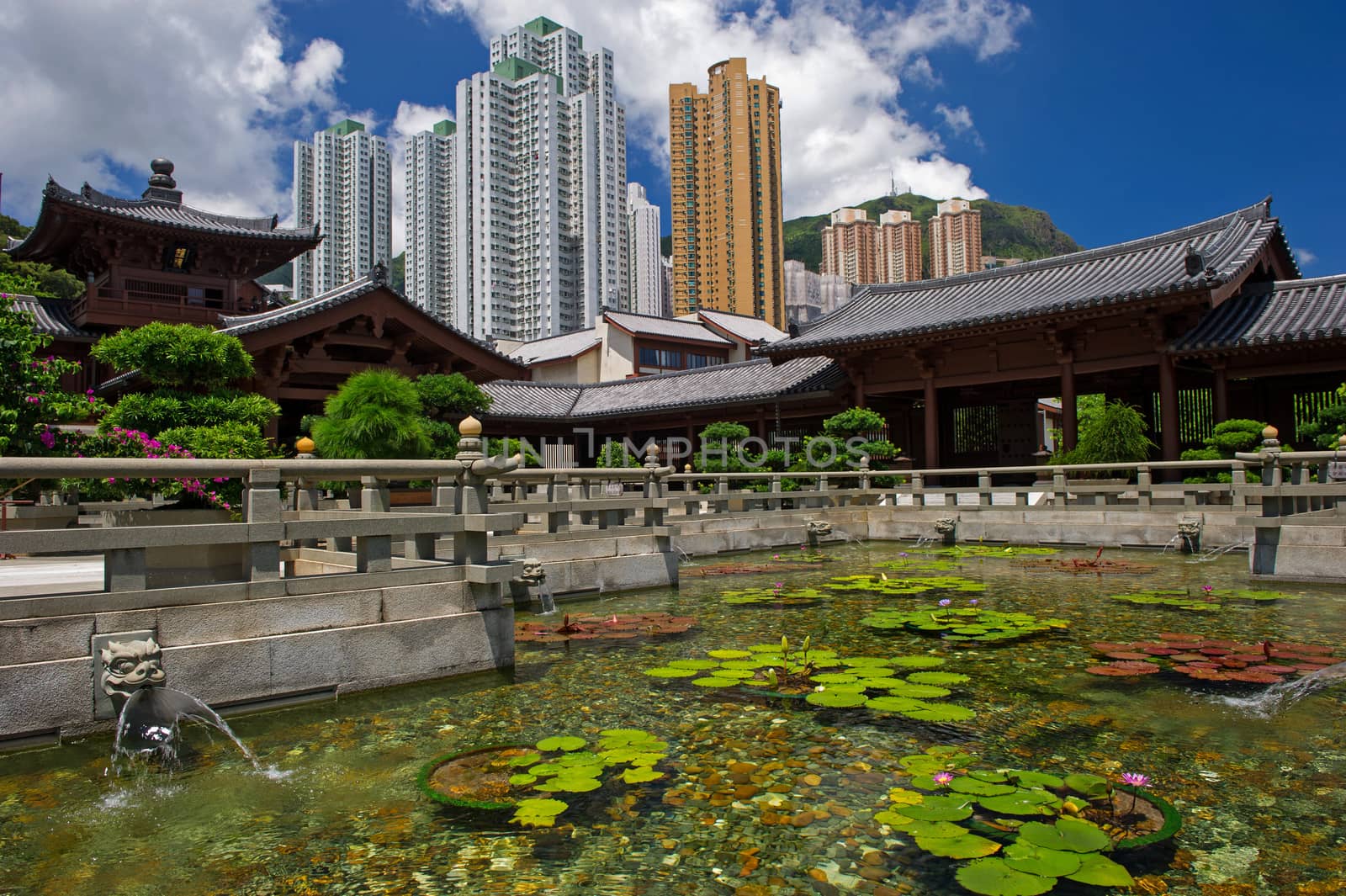 Chi lin Nunnery, Tang dynasty style Chinese temple, Hong Kong by think4photop