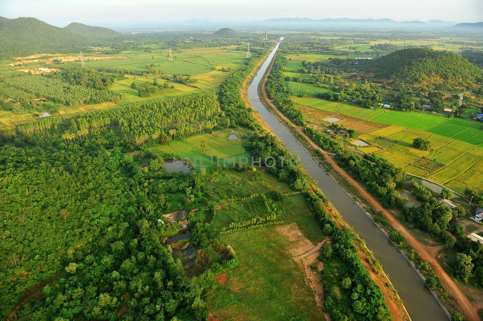 Bird eye view of rice field in Thailand