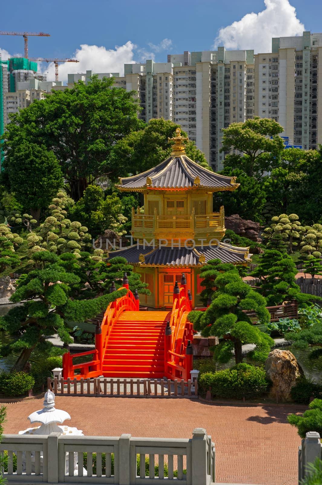 Arch Bridge and Pavilion in Nan Lian Garden, Hong Kong. by think4photop