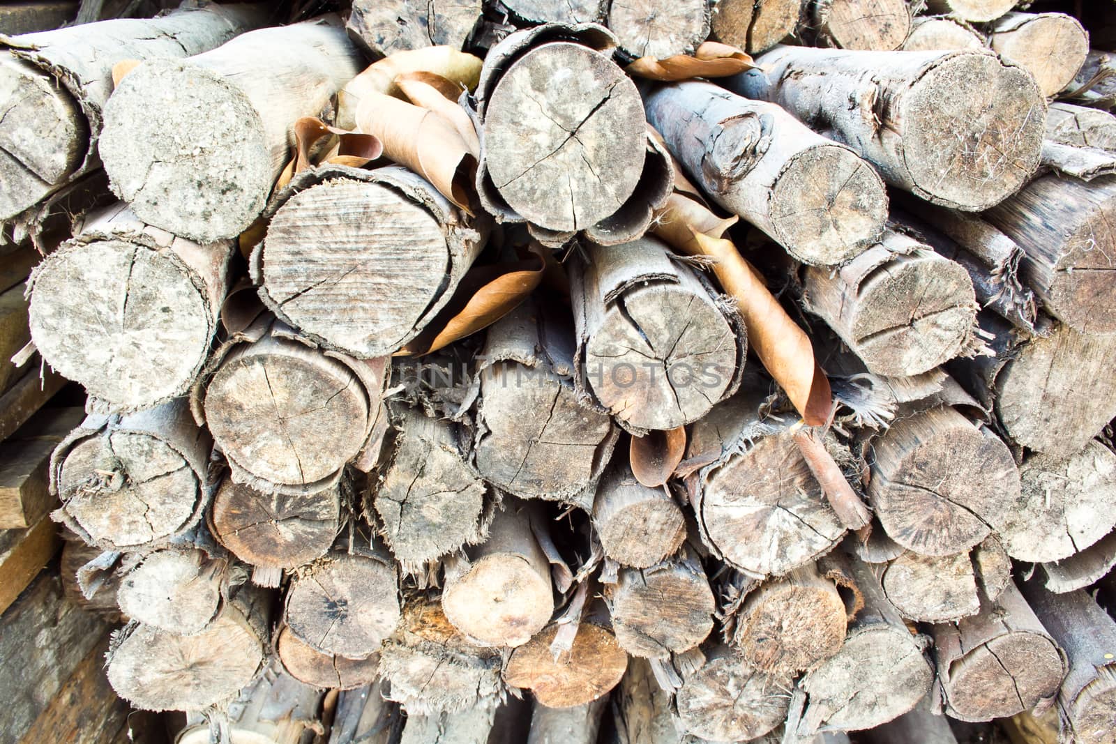 Pile of firewood by tisskananat
