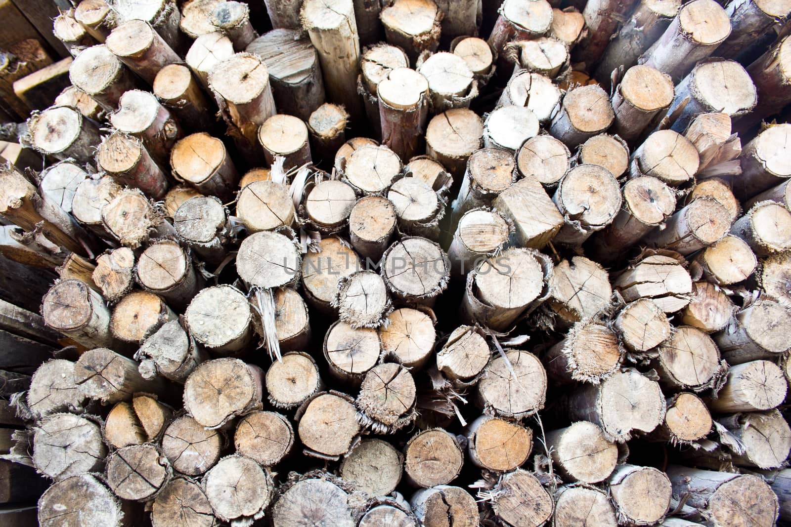 pile of wood by tisskananat