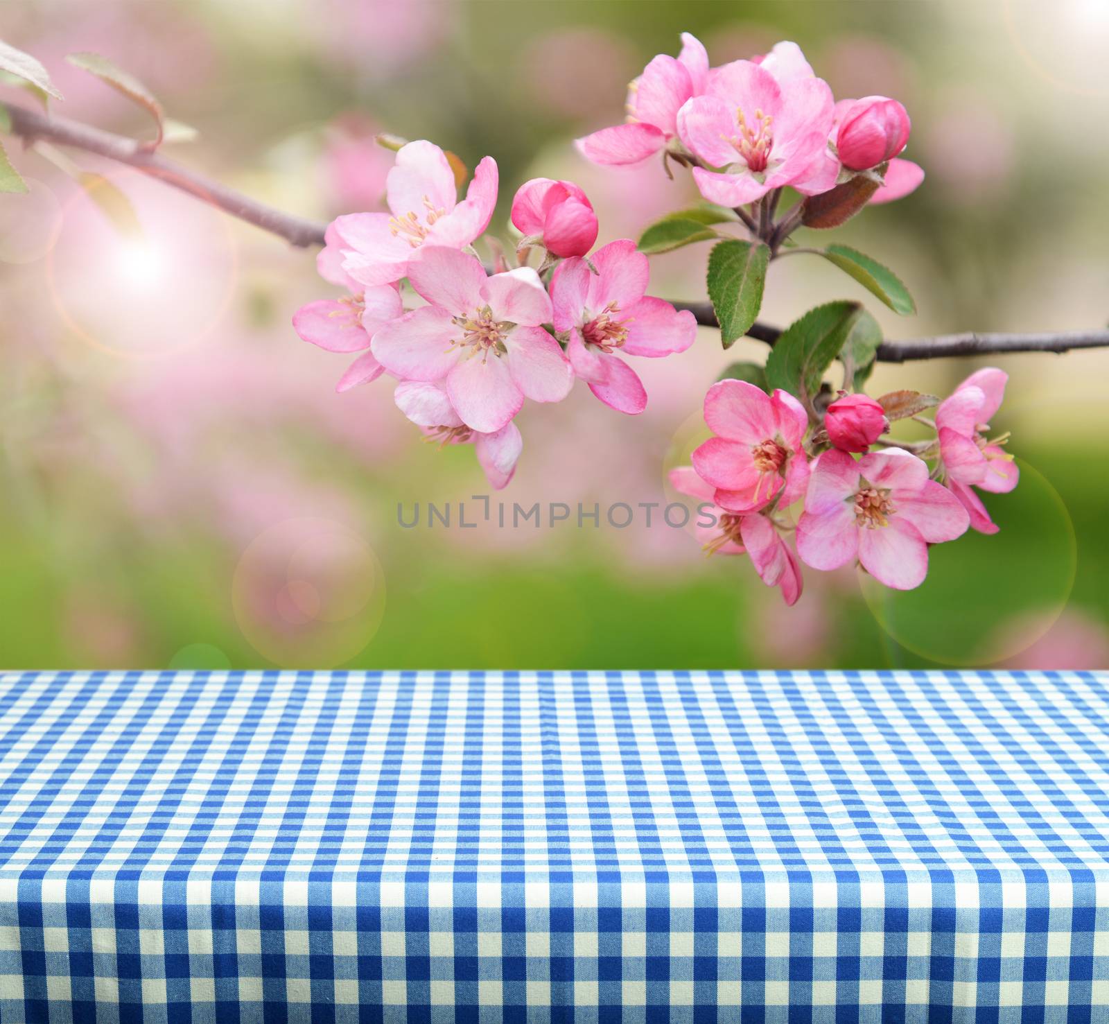 empty table and spring flowers in background