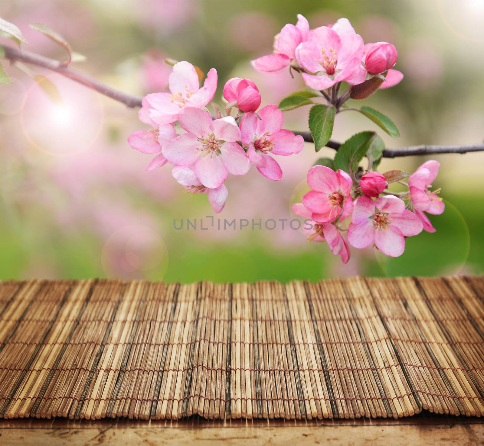 empty table and spring flowers in background