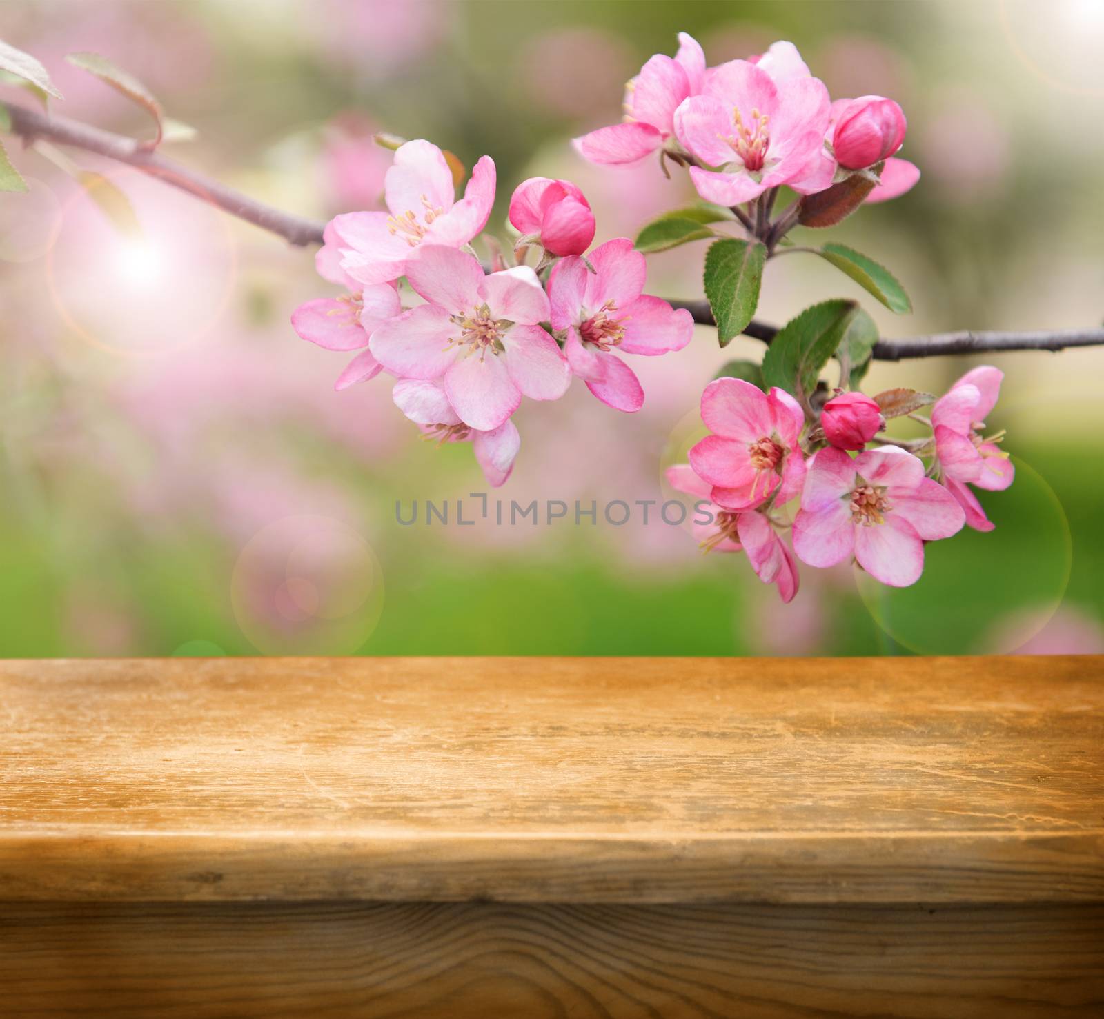 empty table and spring flowers in background