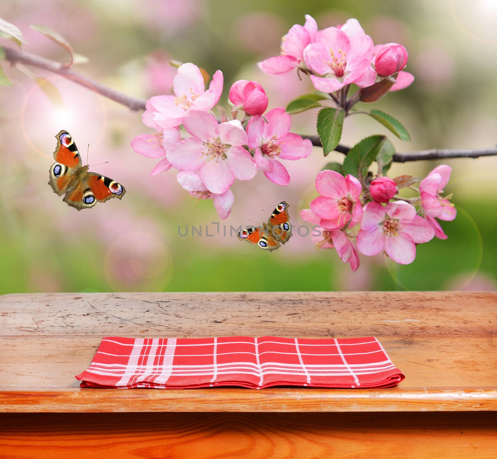 empty table and spring flowers in background
