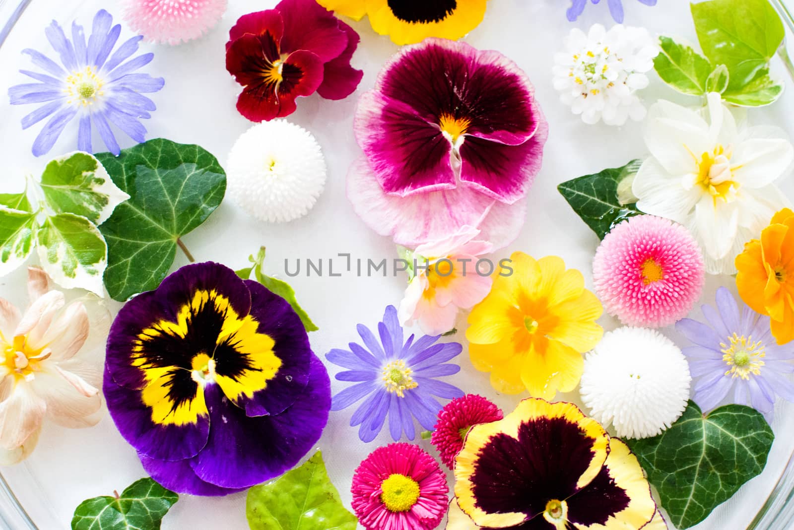 Recently picked fresh mixed flowers floating in a water jar against bright background