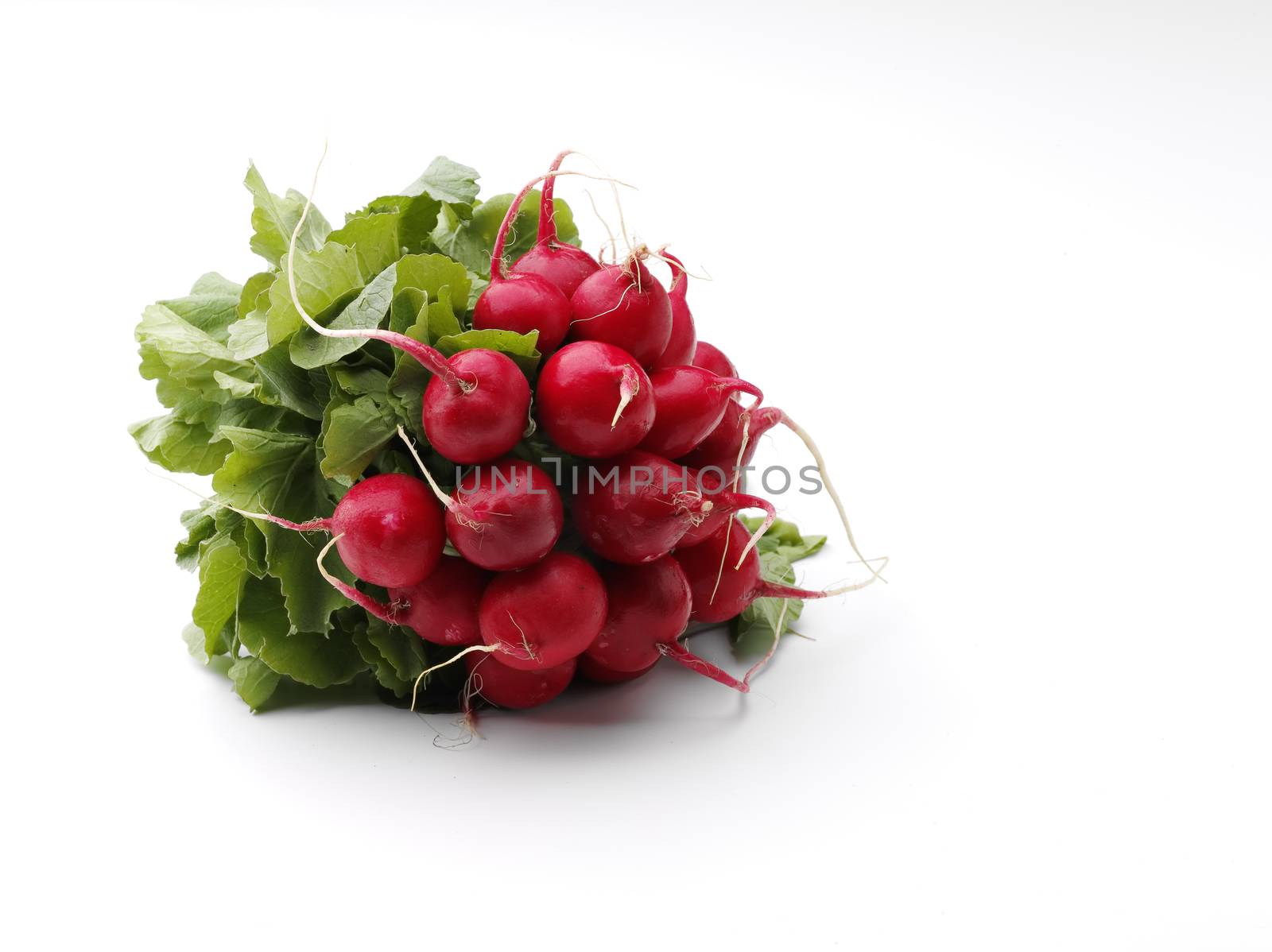 fresh ripe red radish over white background