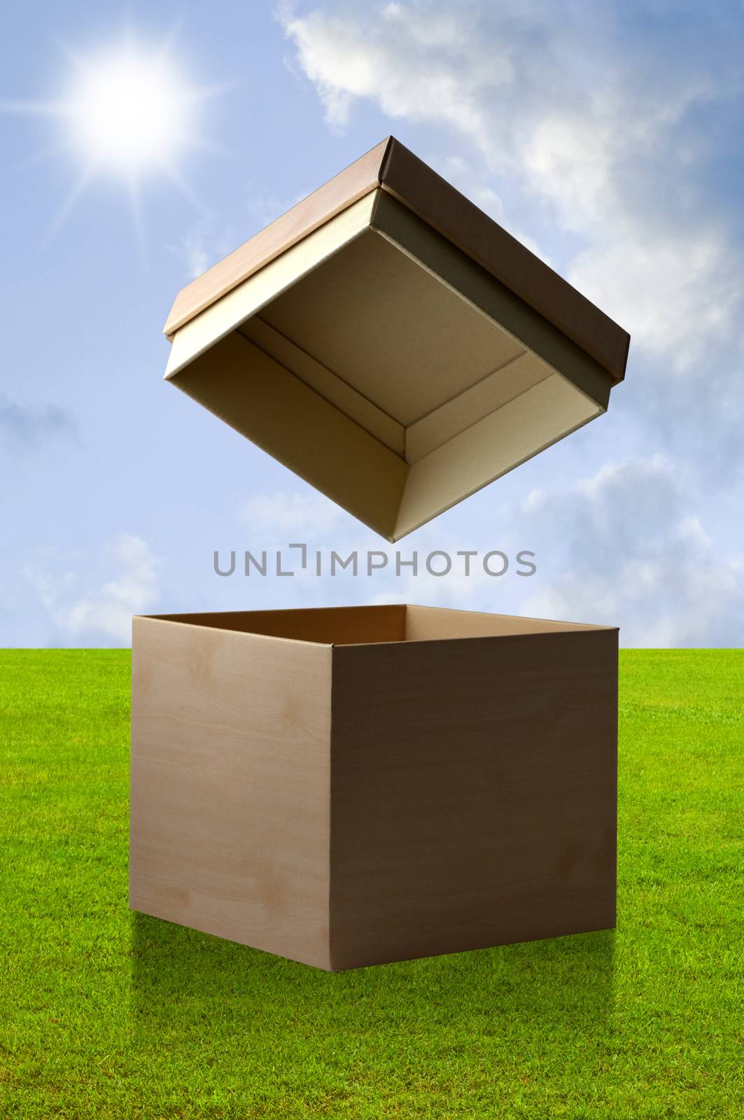 Open paper box with nice green field background by pixbox77