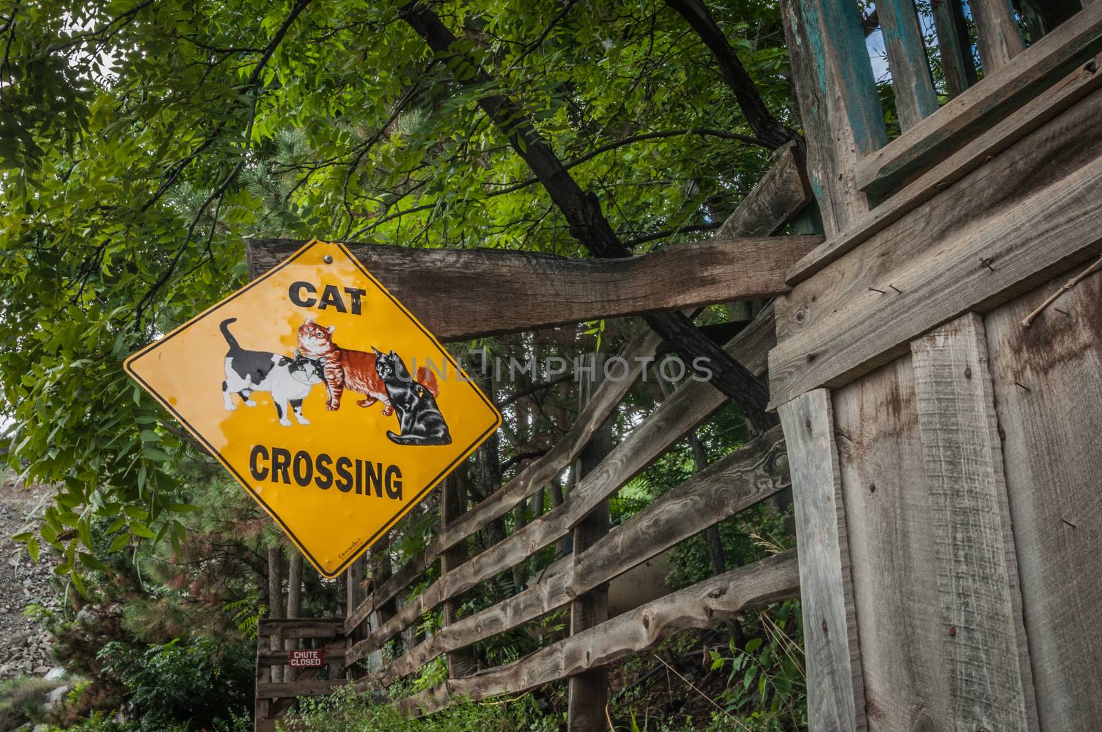Cat crossing sign in Jerome Arizona Ghost Town mine