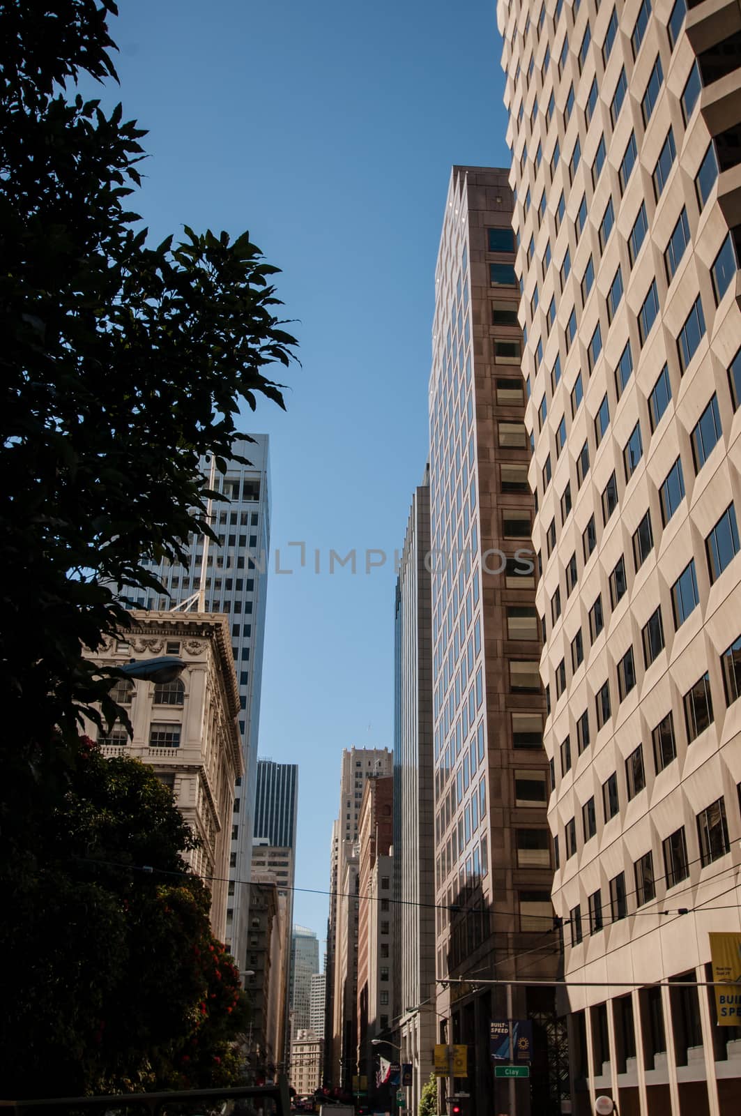 San Francisco Downtown street Skyline view