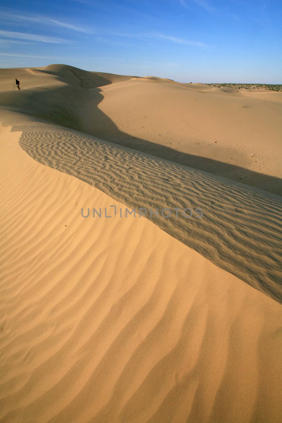 Sand dunes landscape