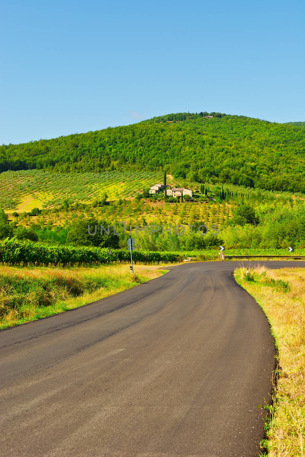 Winding Paved Road in the Tuscany, Italy