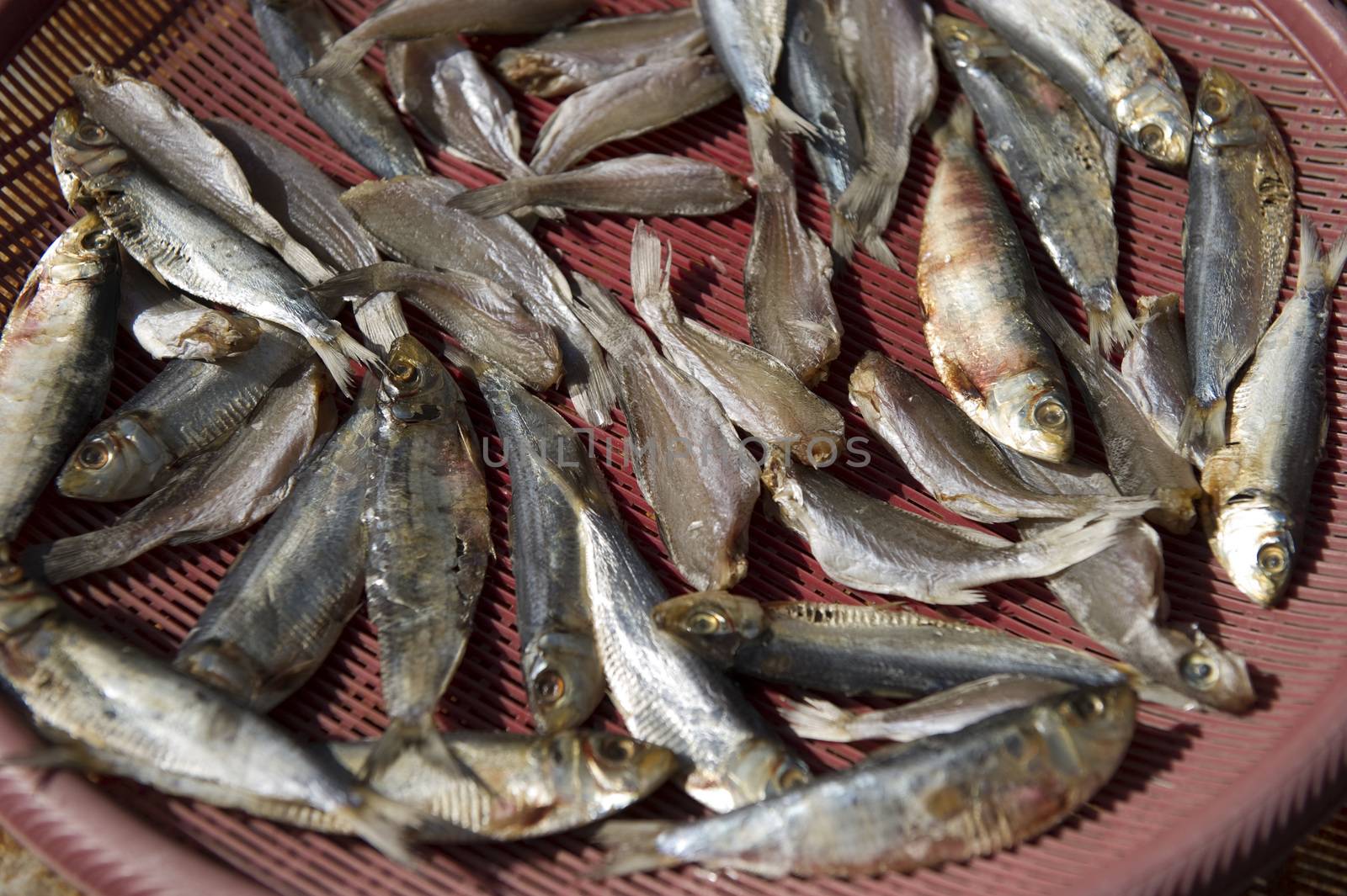 fish drying by think4photop