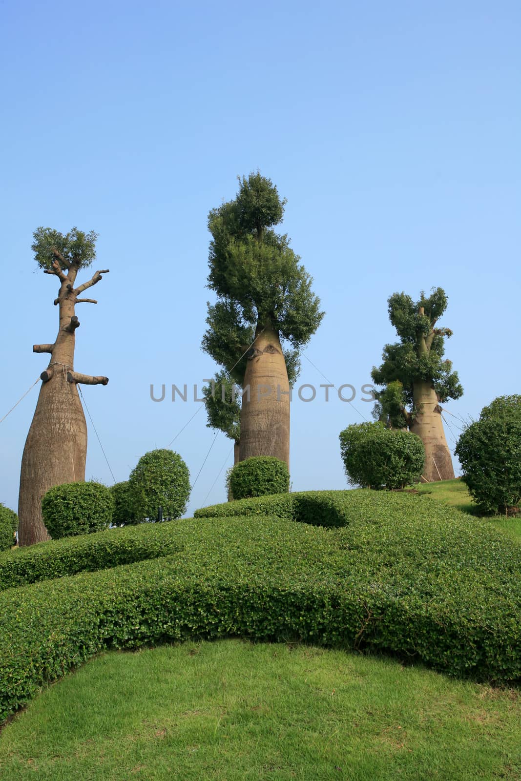 Bottle tree by think4photop