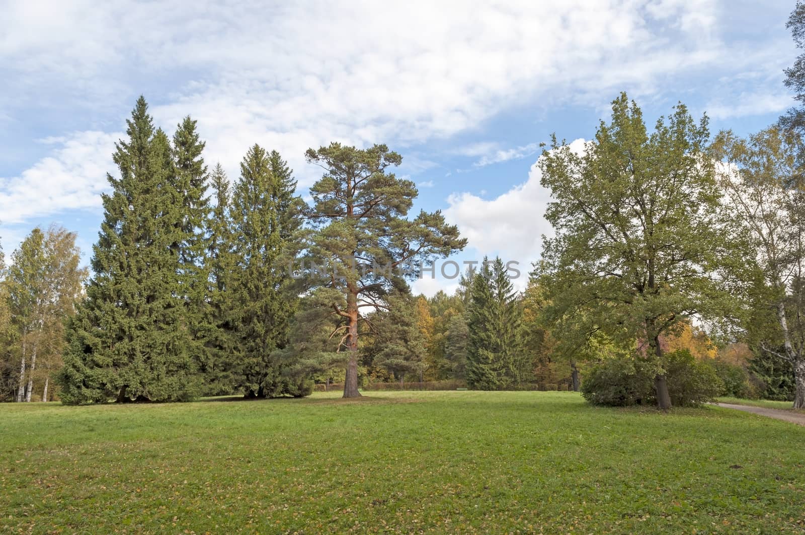 Green glade in old park of Pavlovsk, autumn
