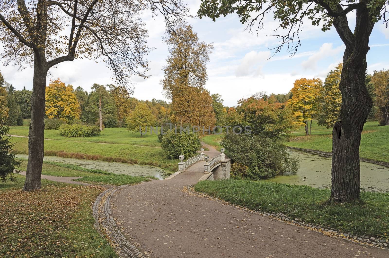 Footpath in old park, autumn by wander