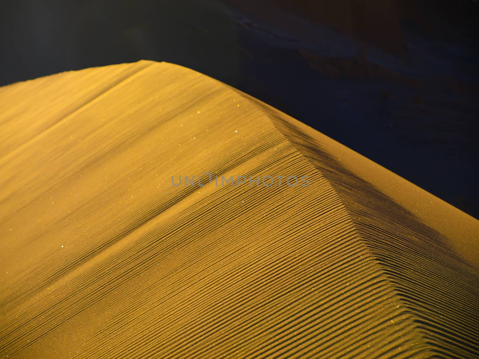 Golden sand dune ridge in evening time