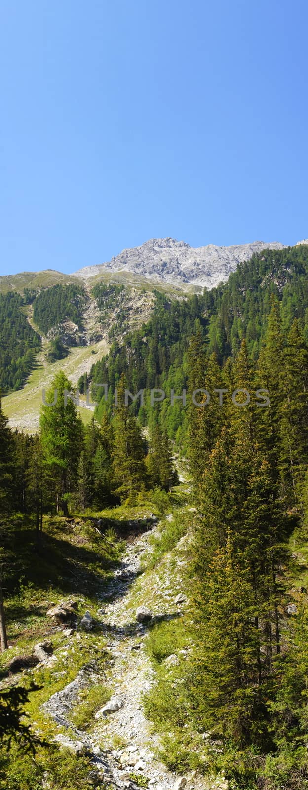 streambed in the Ortler massif