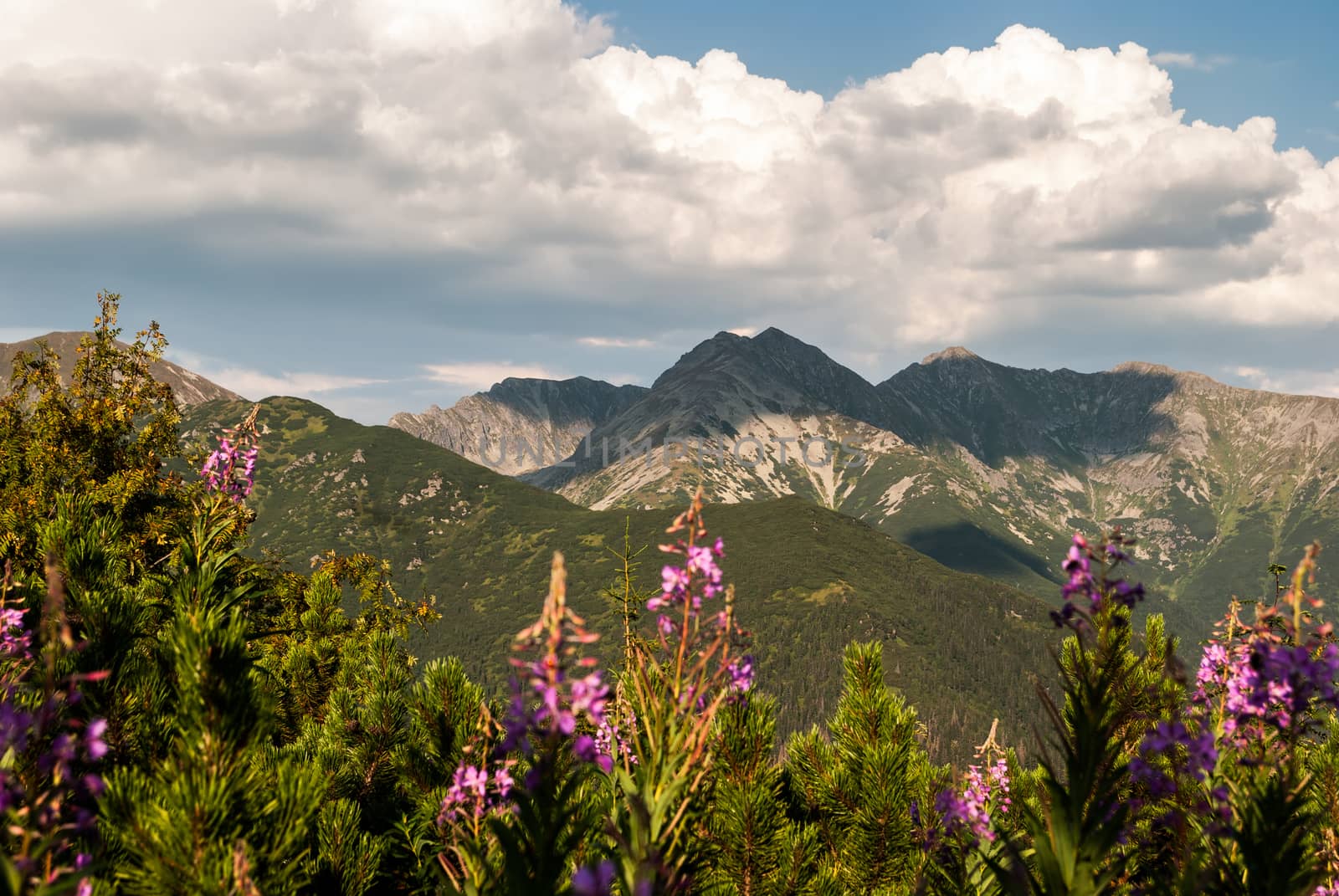 landscape, view towards Rohace