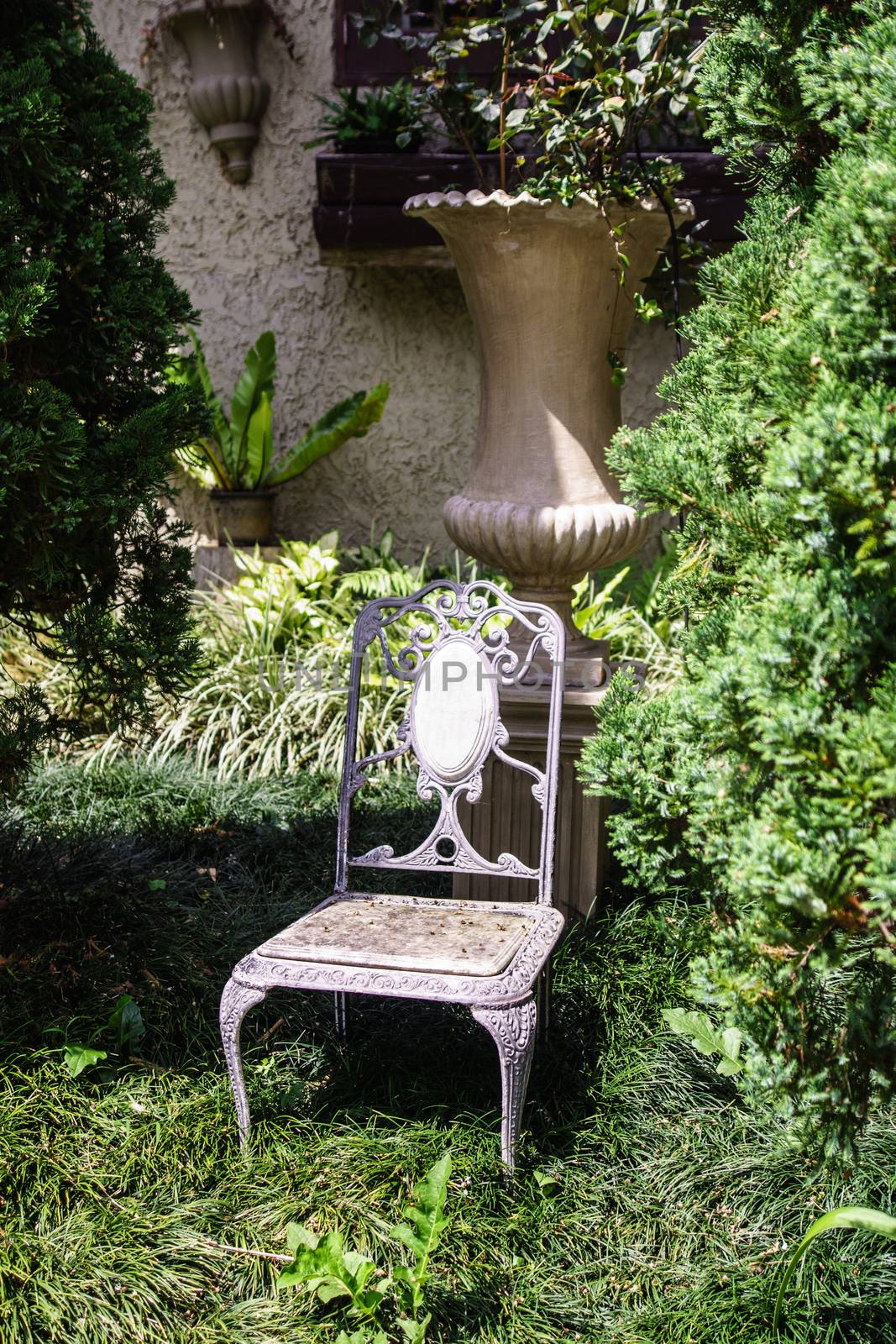 metal chair in the public park,Chiangrai,Thailand