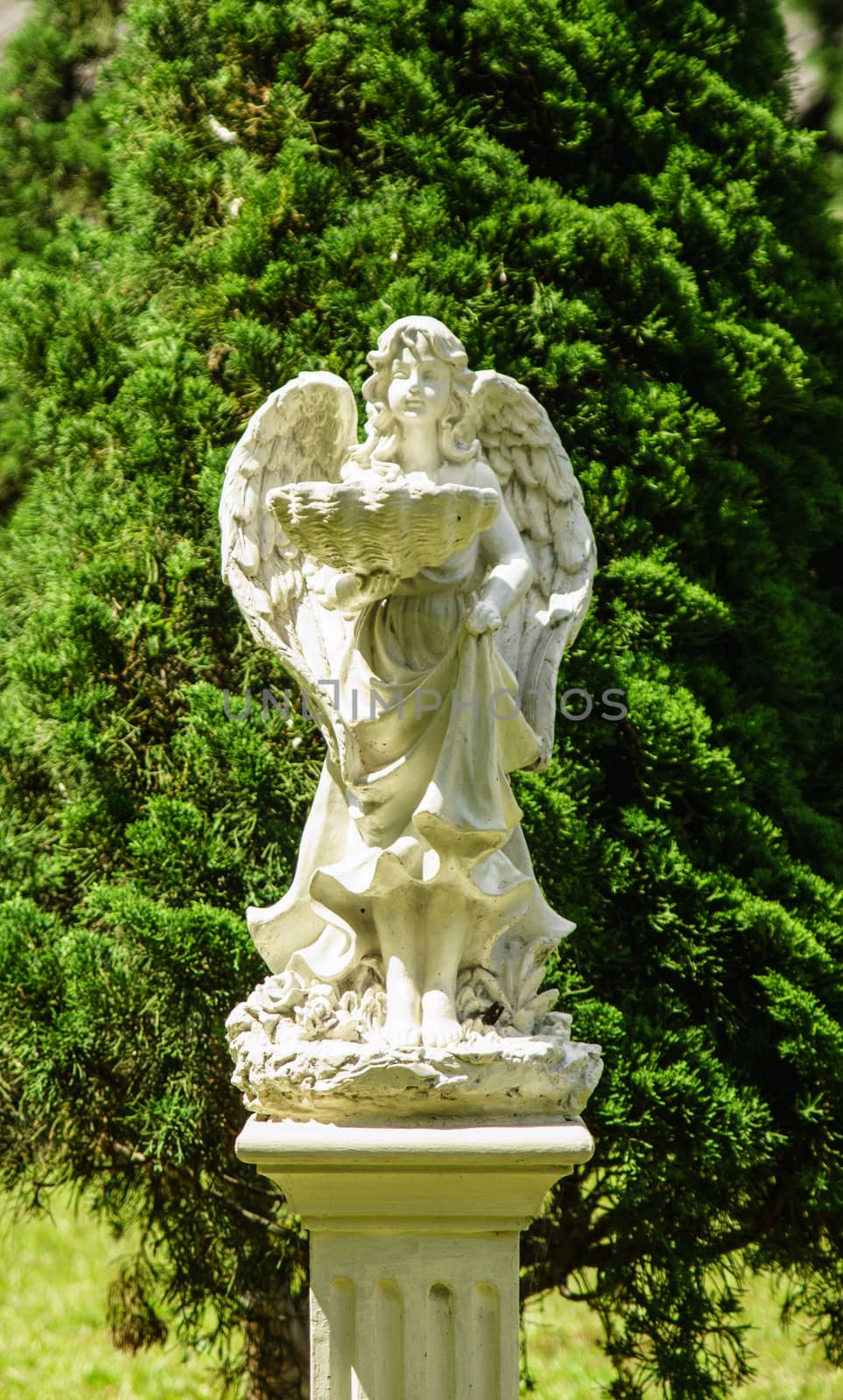 angel sculpture in the garden,Chiangrai,Thailand