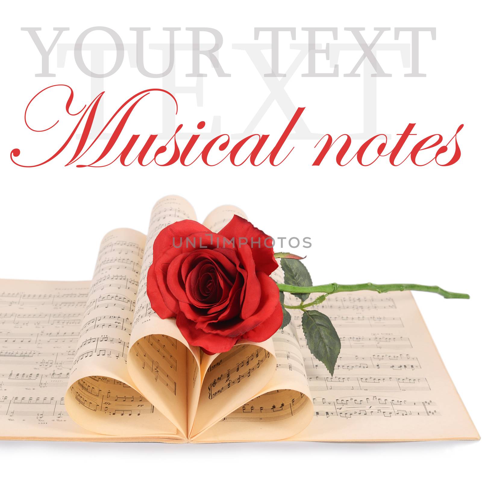 The rose on notebooks with musical notes