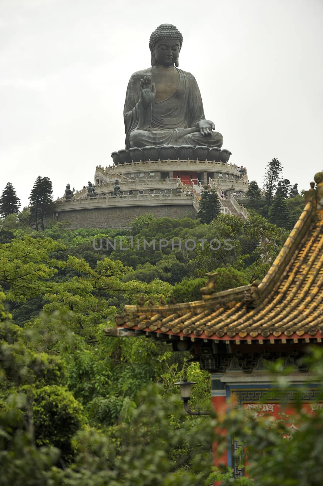Tian Tan Buddha - The worlds's tallest outdoor seated bronze Bud by think4photop
