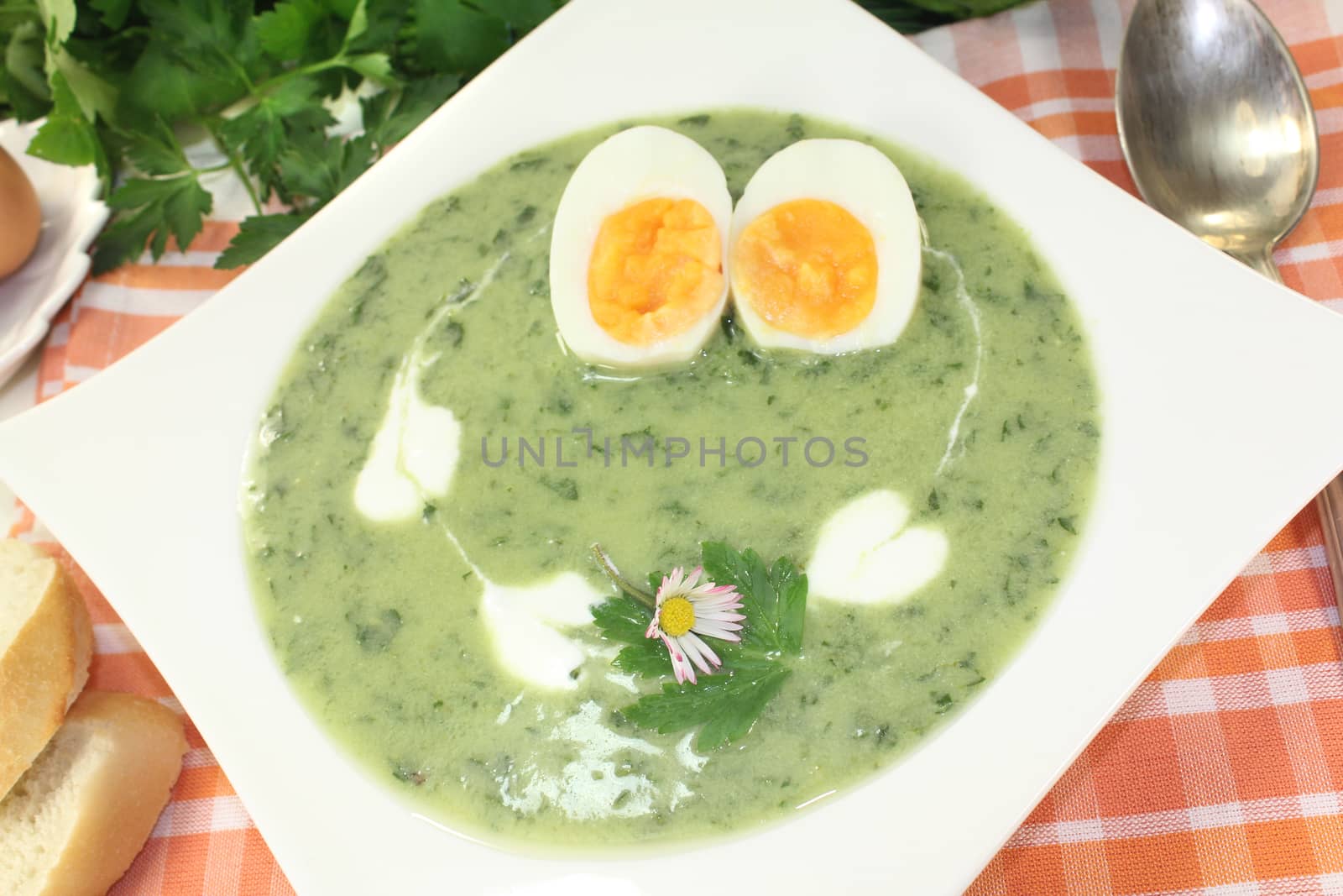 green herbs soup with eggs by discovery